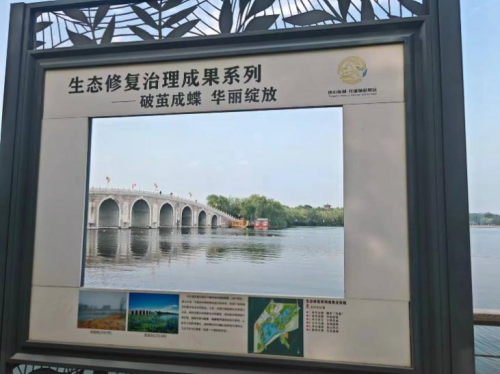 2025媒体管家:制度领航绿金唐,南湖清风润重城