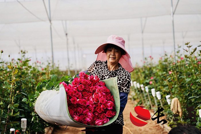 1716866604487793.jpg 75ef0a04d3d57fcf5d304f77e5a8de6f_171679586766747500_a700xH.jpg